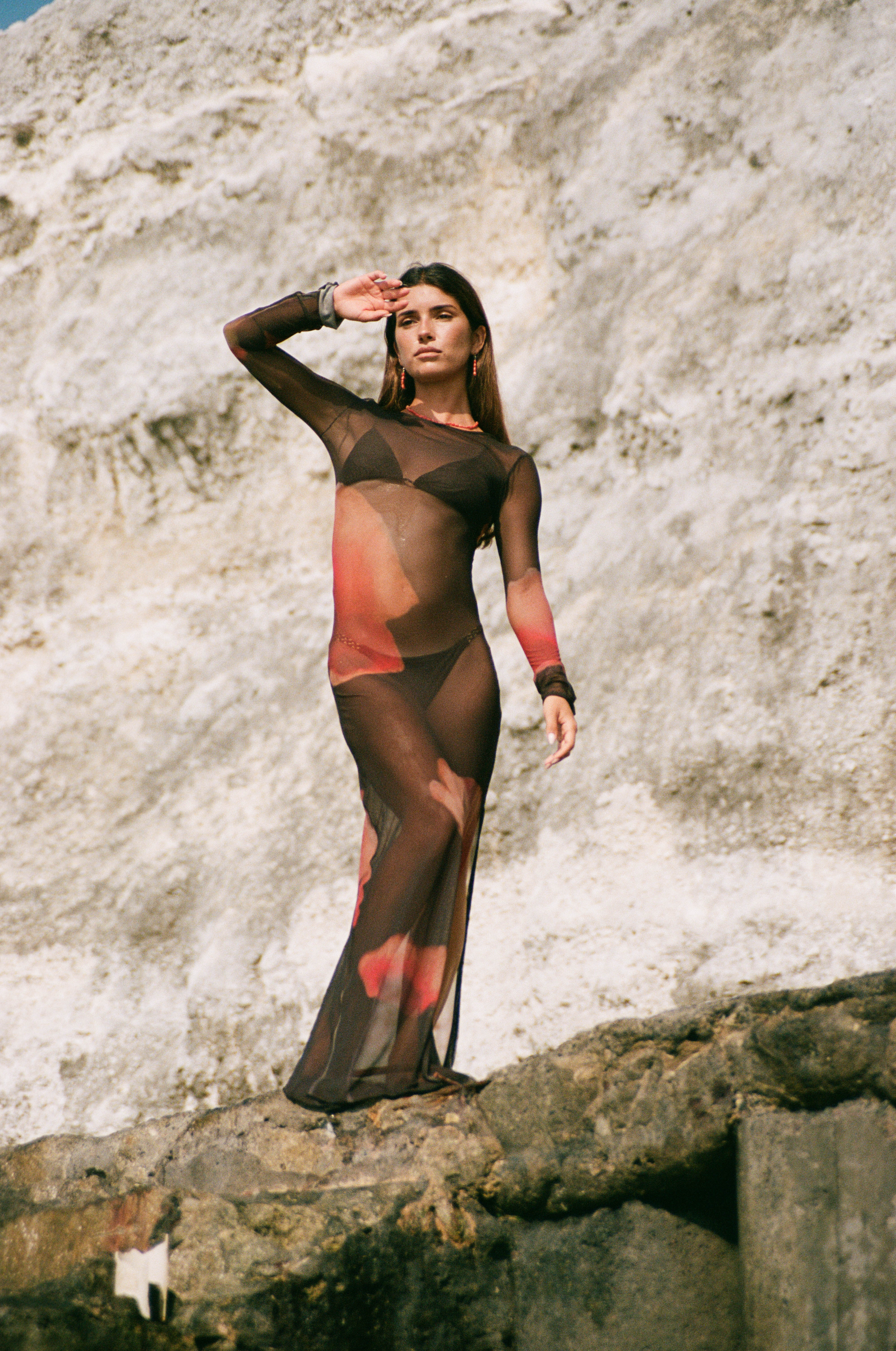 Mesh Dress - Long Sleeves