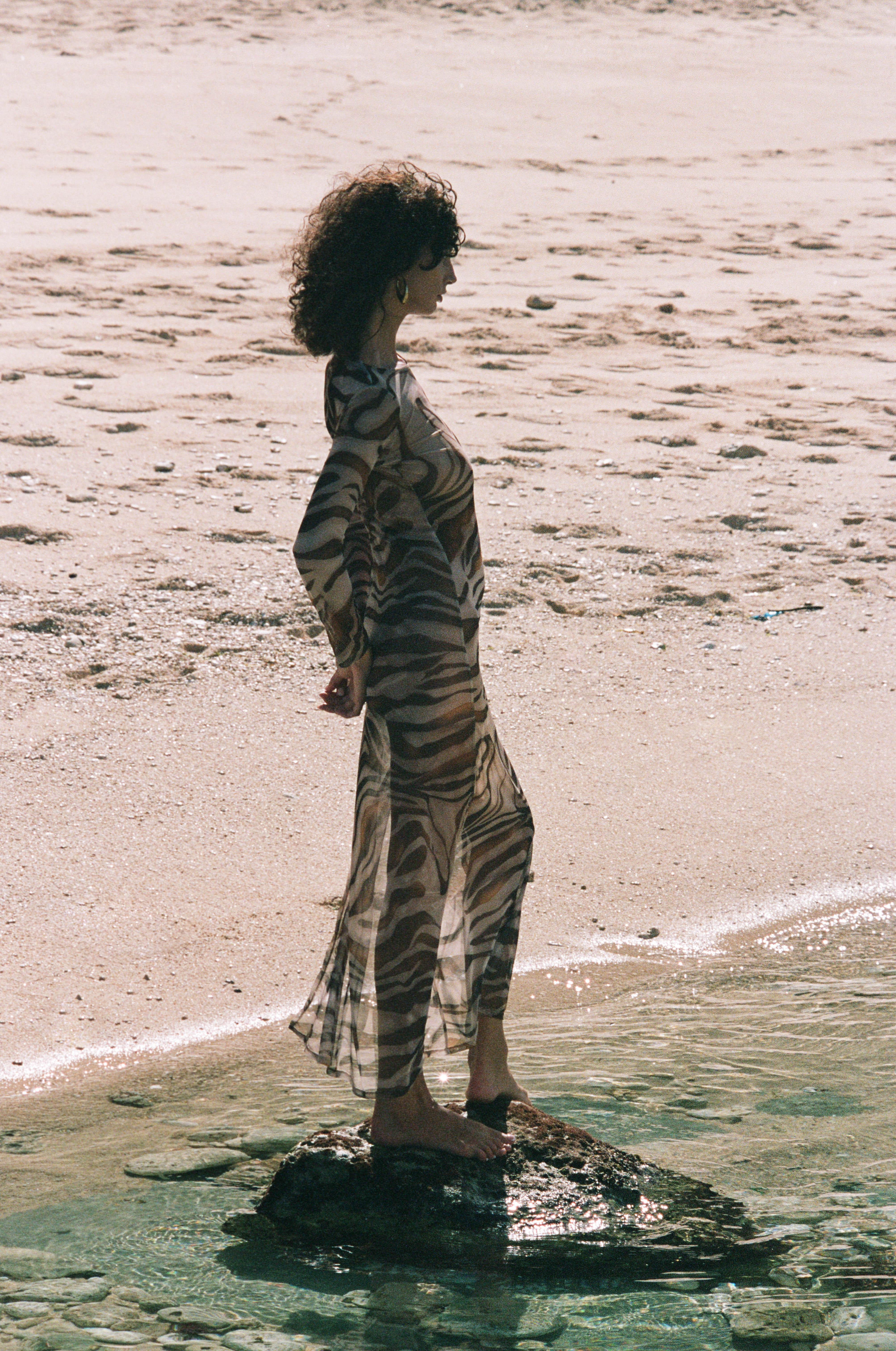 Abito Lungo - Animalier